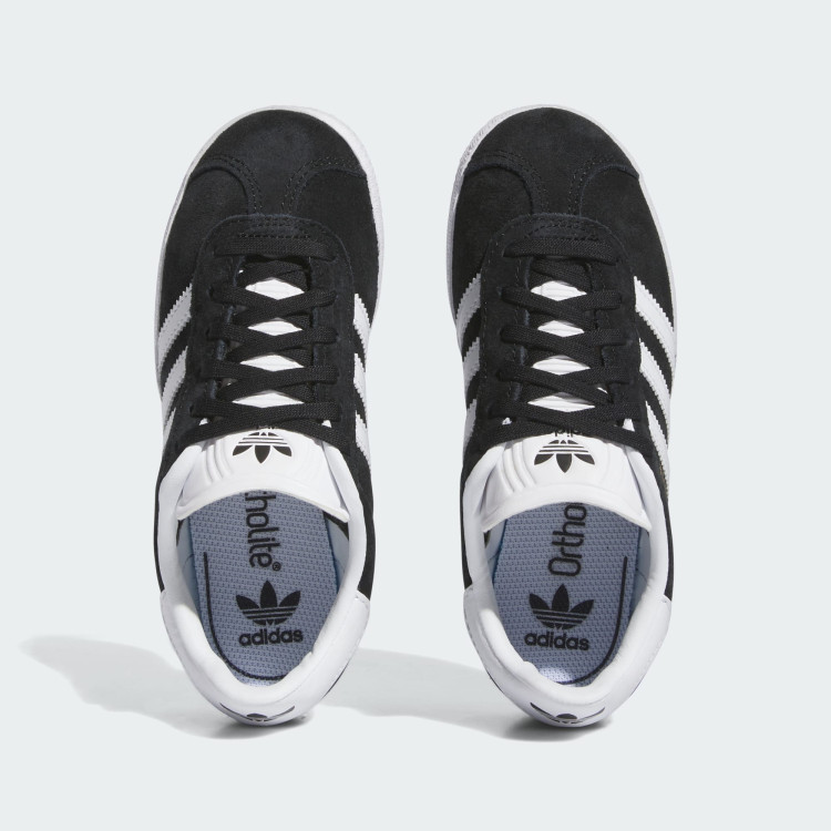 GAZELLE C