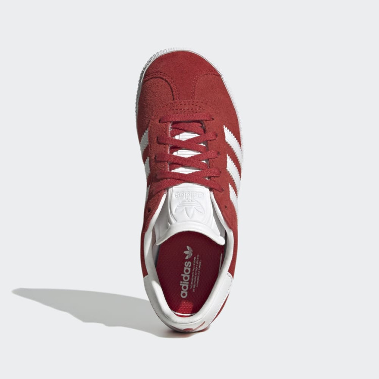 GAZELLE C