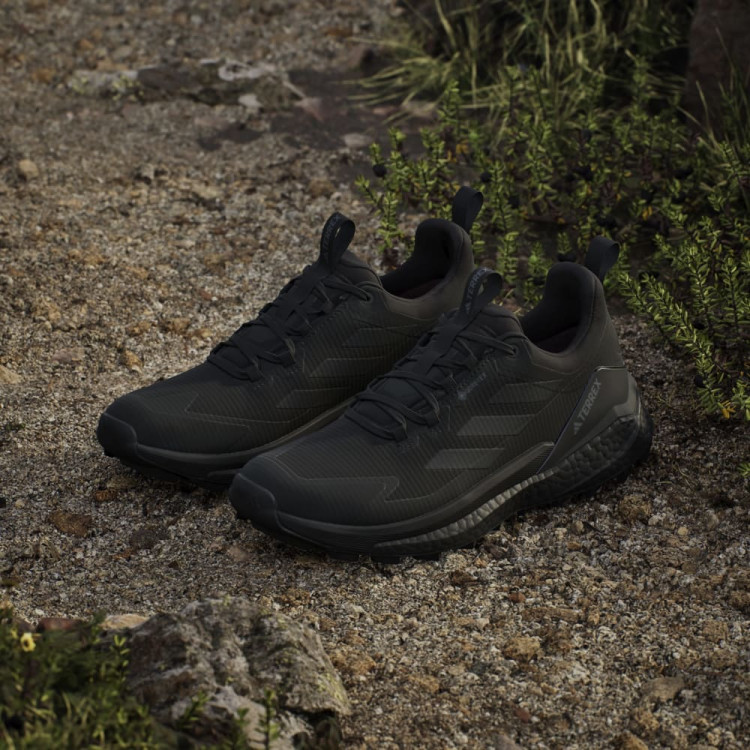 TERREX FREE HIKER 2 LOW GTX