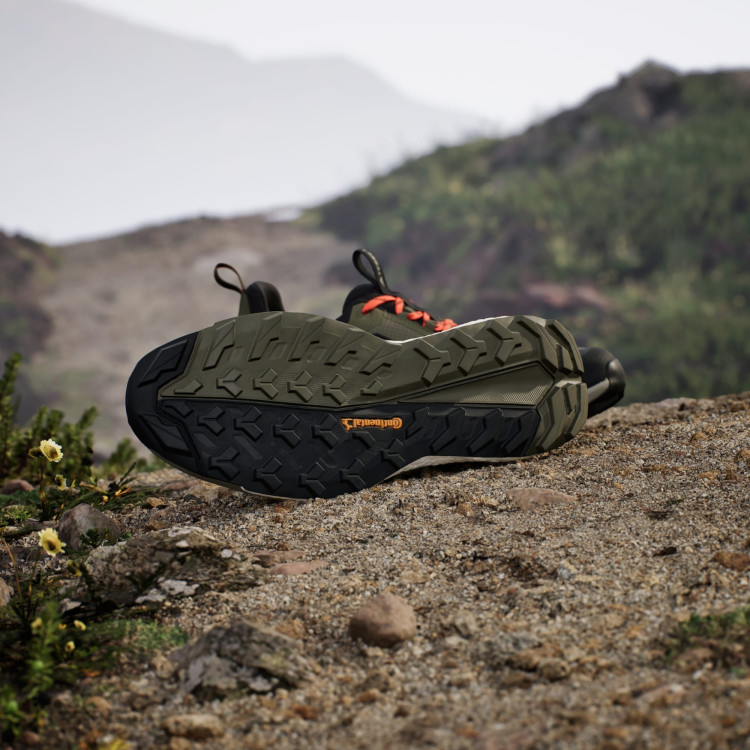 TERREX FREE HIKER 2 LOW GTX