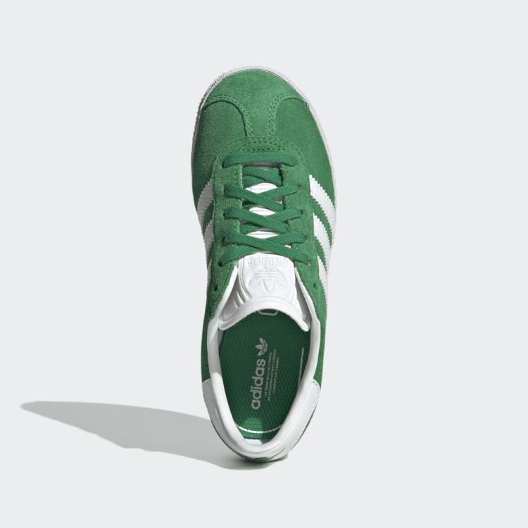 GAZELLE C