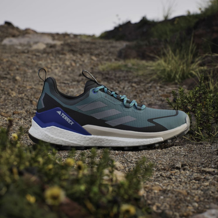 TERREX FREE HIKER 2 LOW GTX