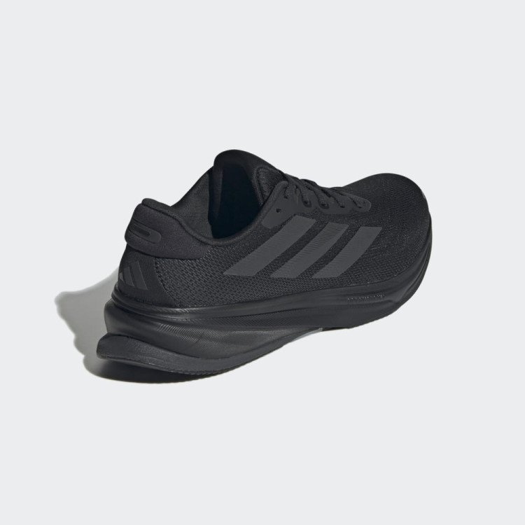 SUPERNOVA RISE 2 M