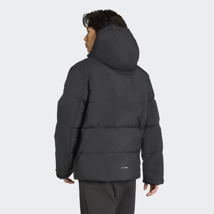 MT CW GOOSE J