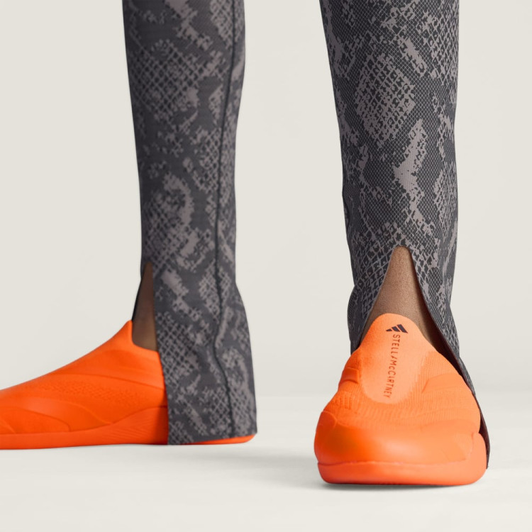 ASMC LEG P